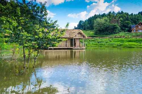 �����ΰ��塡ժҪ�����Ǿ�������ô���������ɭ��С��