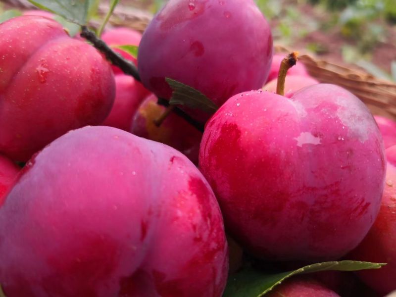 ΢��ͼƬ_20180527144116