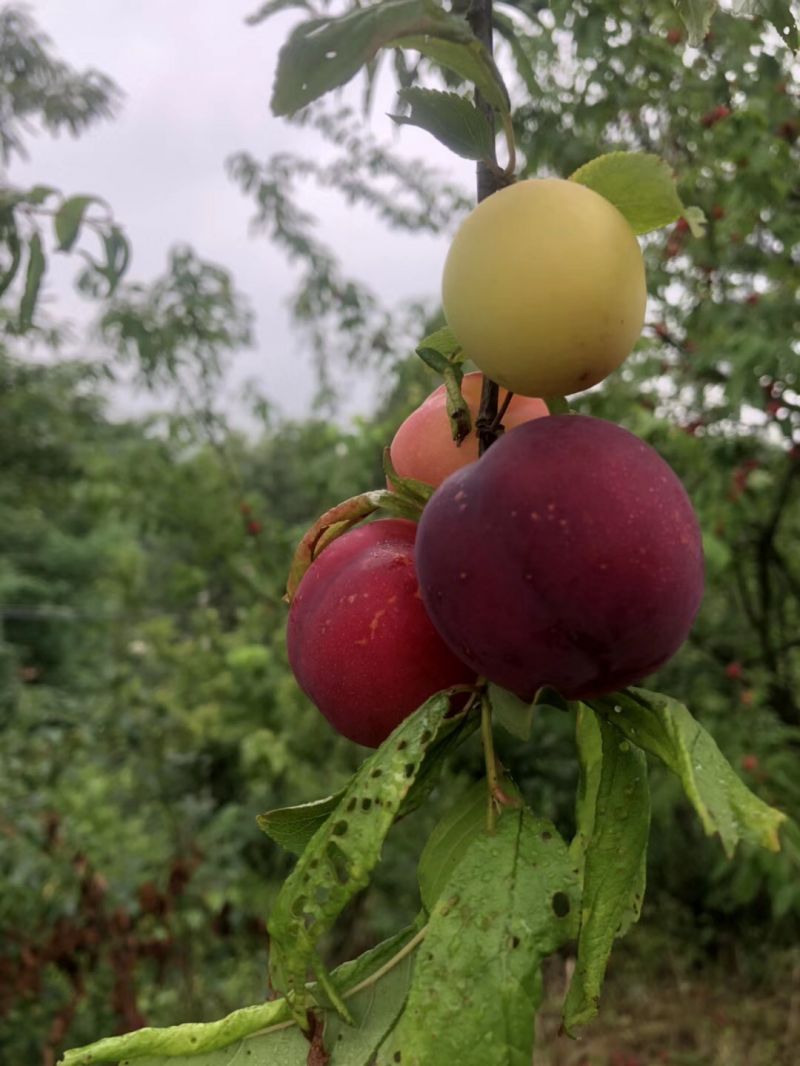 ΢��ͼƬ_20180527144122