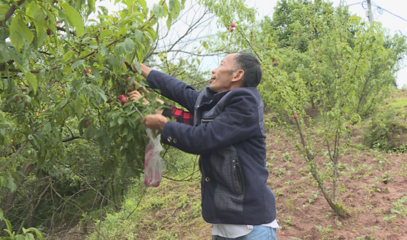 ΢��ͼƬ_20180527144126